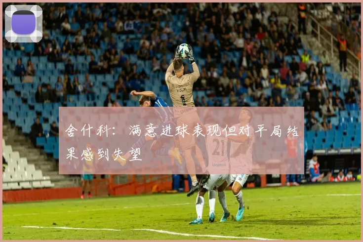 舍什科：满意进球表现但对平局结果感到失望