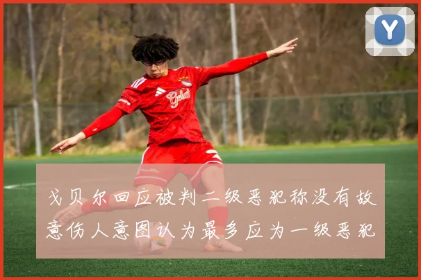 戈贝尔回应被判二级恶犯称没有故意伤人意图认为最多应为一级恶犯