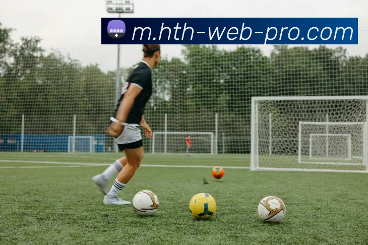 华体会发展历程